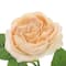 Peach Cabbage Rose Spray by Ashland&#xAE;
